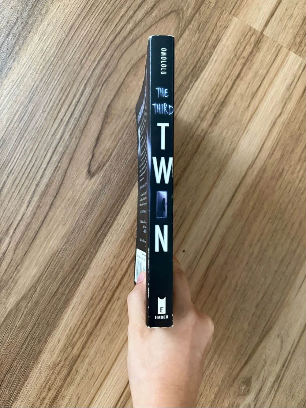 The Third Twin